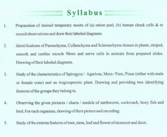 Syllabus Page No. 1